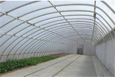 温室大棚种植、河北温室大棚、通达农业