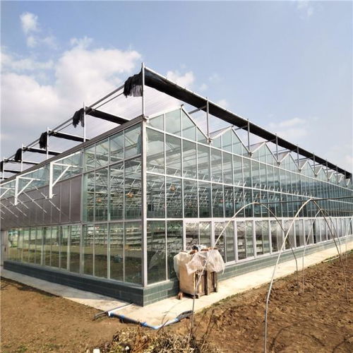阳光板温室设计 大型阳光板温室工程 中建温室